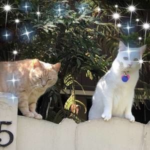 Meet your Posher, Sandy